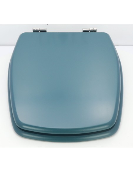 Abattant WC Selles Cheverny Vert d'eau Abattant WC Selles Cheverny Vert d'eau